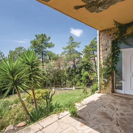 Suria 8 People Willa *